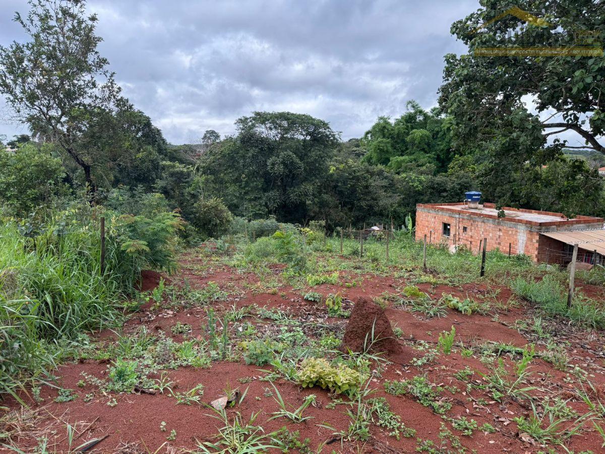 WhatsApp Image 2026-02-08 at 16.03.18 (4).jpeg